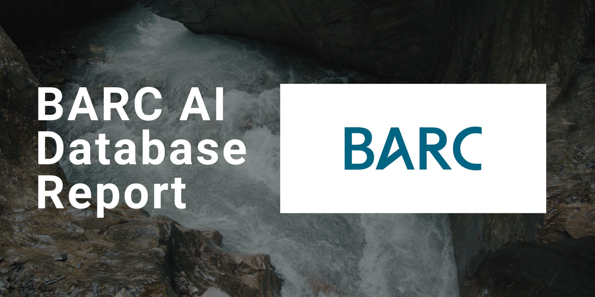 BARC AI Database report image